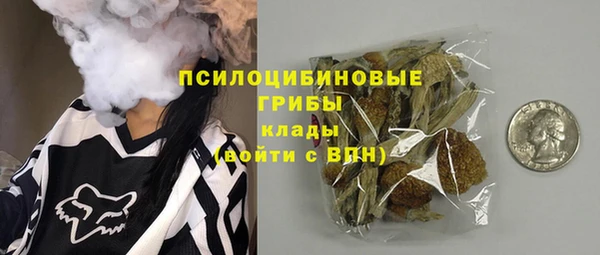 синтетический гашиш Богородск