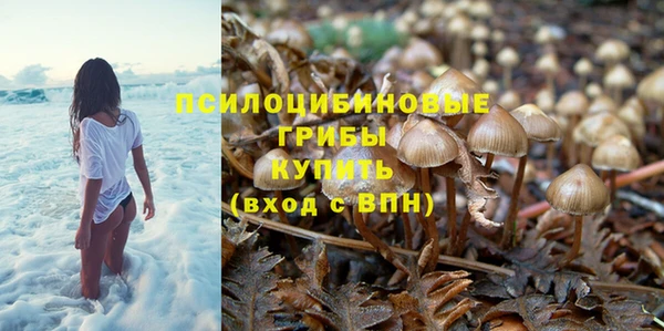 прущие крисы Богданович