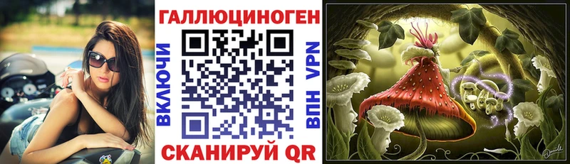 даркнет сайт  Буй  Псилоцибиновые грибы Magic Shrooms 